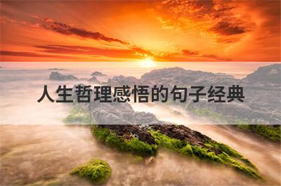 人生哲理感悟的句子经典
