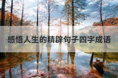 感悟人生的精辟句子四字成语
