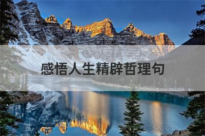 感悟人生精辟哲理句