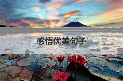 感悟优美句子