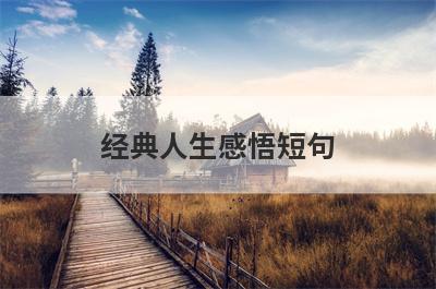 经典人生感悟短句