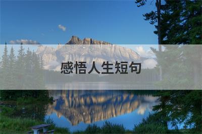 感悟人生短句