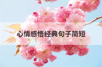 心情感悟经典句子简短