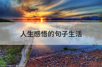 人生感悟的句子生活