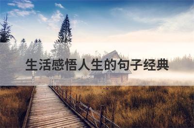生活感悟人生的句子经典