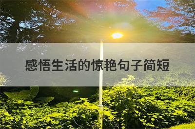 感悟生活的惊艳句子简短