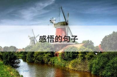 感悟的句子