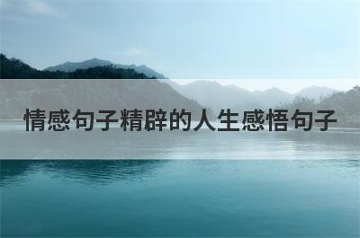 情感句子精辟的人生感悟句子