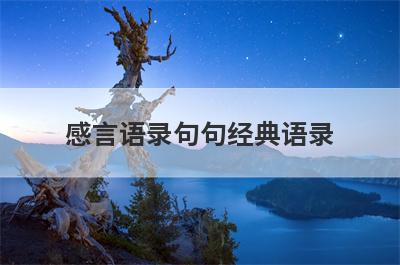 感言语录句句经典语录