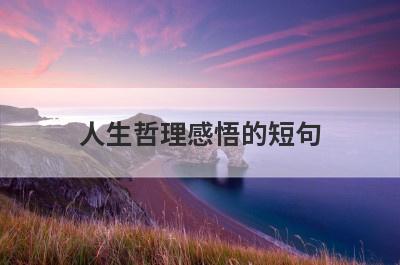 人生哲理感悟的短句