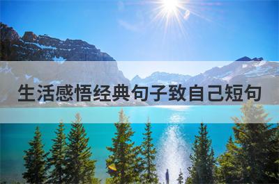 生活感悟经典句子致自己短句