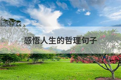 感悟人生的哲理句子