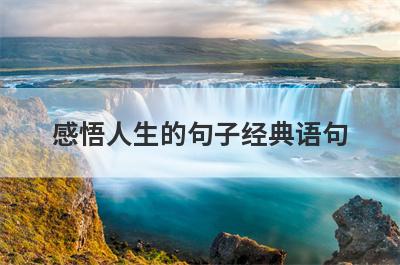 感悟人生的句子经典语句