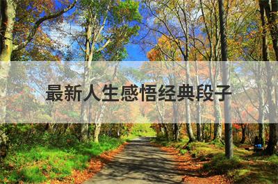 最新人生感悟经典段子