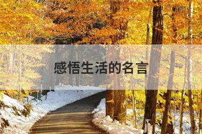感悟生活的名言