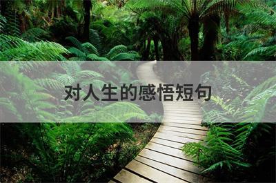 对人生的感悟短句