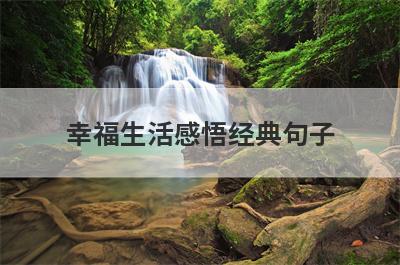 幸福生活感悟经典句子