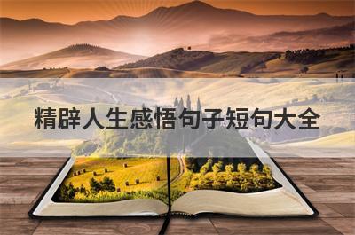 精辟人生感悟句子短句大全