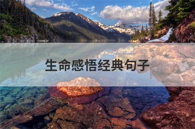 生命感悟经典句子