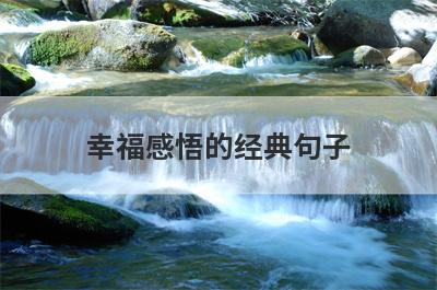 幸福感悟的经典句子