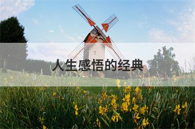 人生感悟的经典