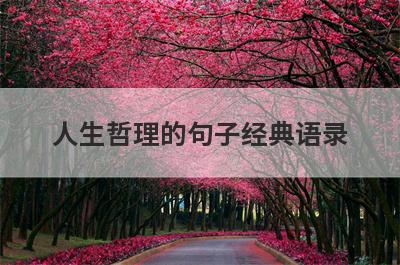 人生哲理的句子经典语录