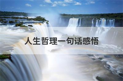 人生哲理一句话感悟