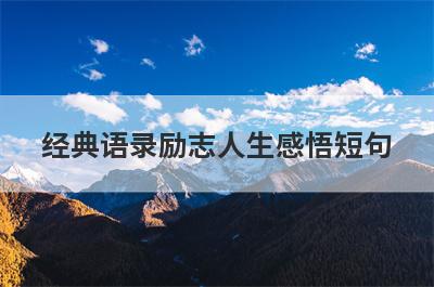 经典语录励志人生感悟短句