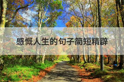 感慨人生的句子简短精辟