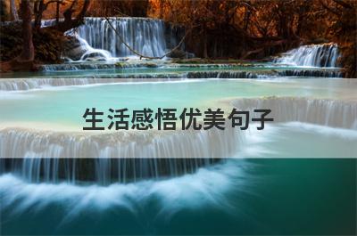 生活感悟优美句子
