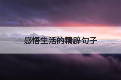 感悟生活的精辟句子