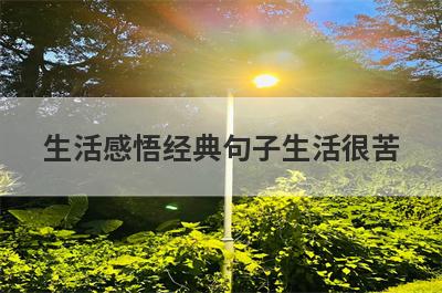 生活感悟经典句子生活很苦