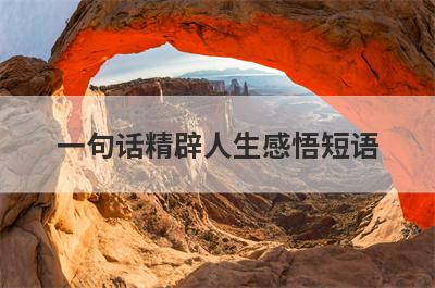 一句话精辟人生感悟短语