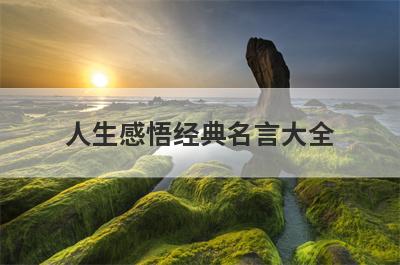 人生感悟经典名言大全