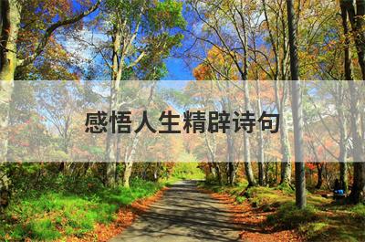 感悟人生精辟诗句