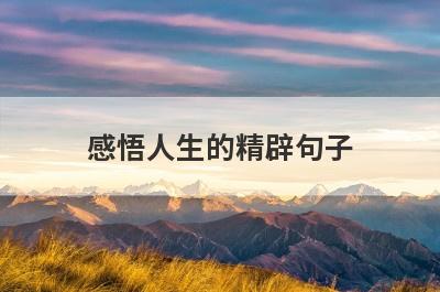 感悟人生的精辟句子