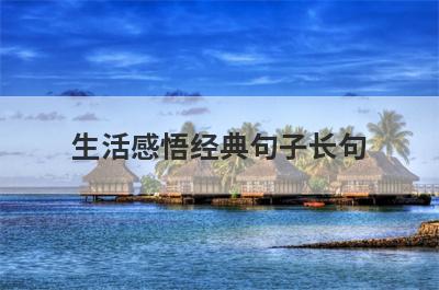 生活感悟经典句子长句