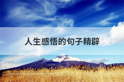 人生感悟的句子精辟