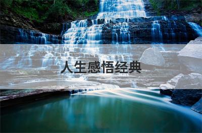 人生感悟经典