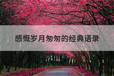 感慨岁月匆匆的经典语录