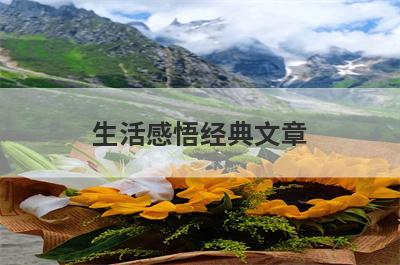 生活感悟经典文章