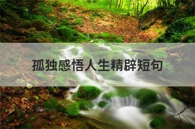 孤独感悟人生精辟短句