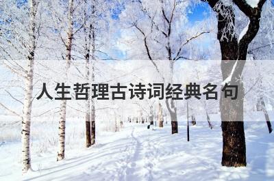 人生哲理古诗词经典名句