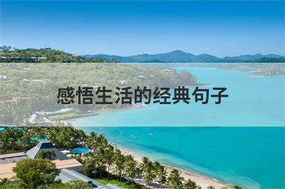 感悟生活的经典句子