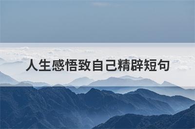 人生感悟致自己精辟短句