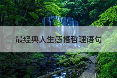 最经典人生感悟哲理语句