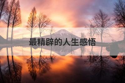 最精辟的人生感悟