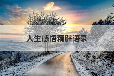 人生感悟精辟语录