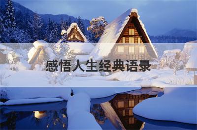 感悟人生经典语录