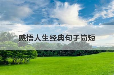 感悟人生经典句子简短